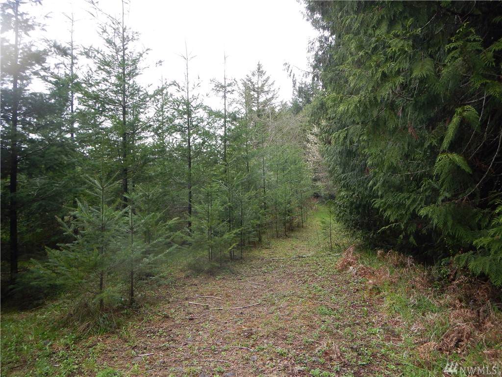 22-x Alpha Wy - Photo 1