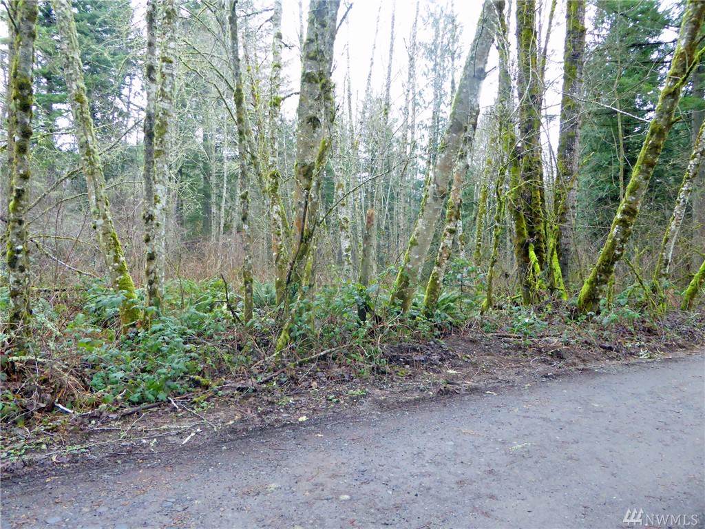 0-Tract C Sundew Lane - Photo 1