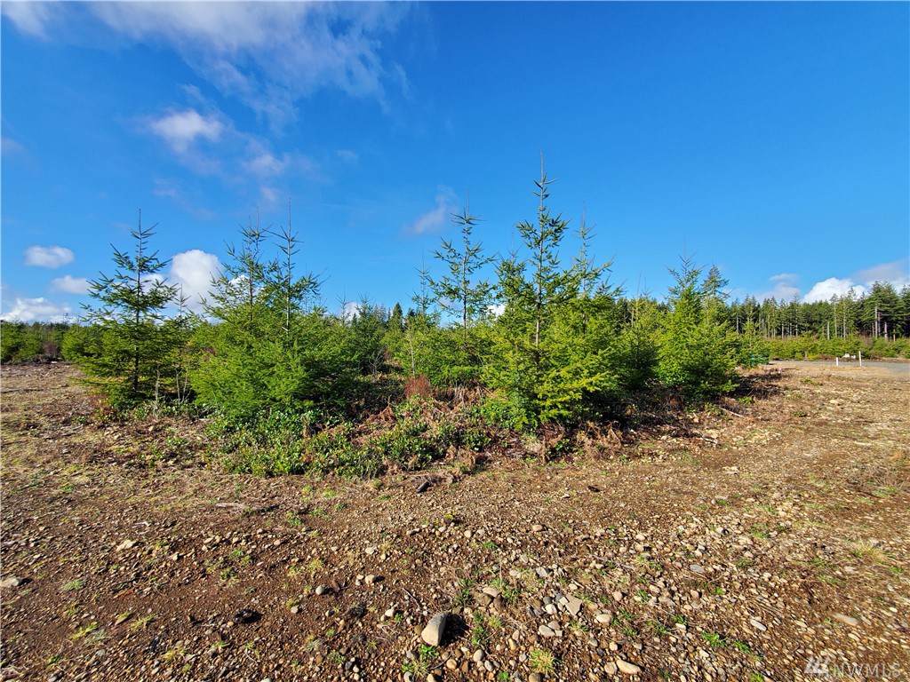 9999 Lot 3 Hennings Sp - Photo 1
