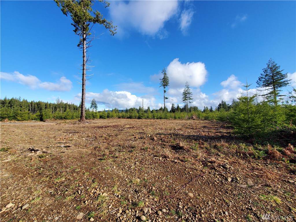 9999 Lot 4 Hennings Sp - Photo 1