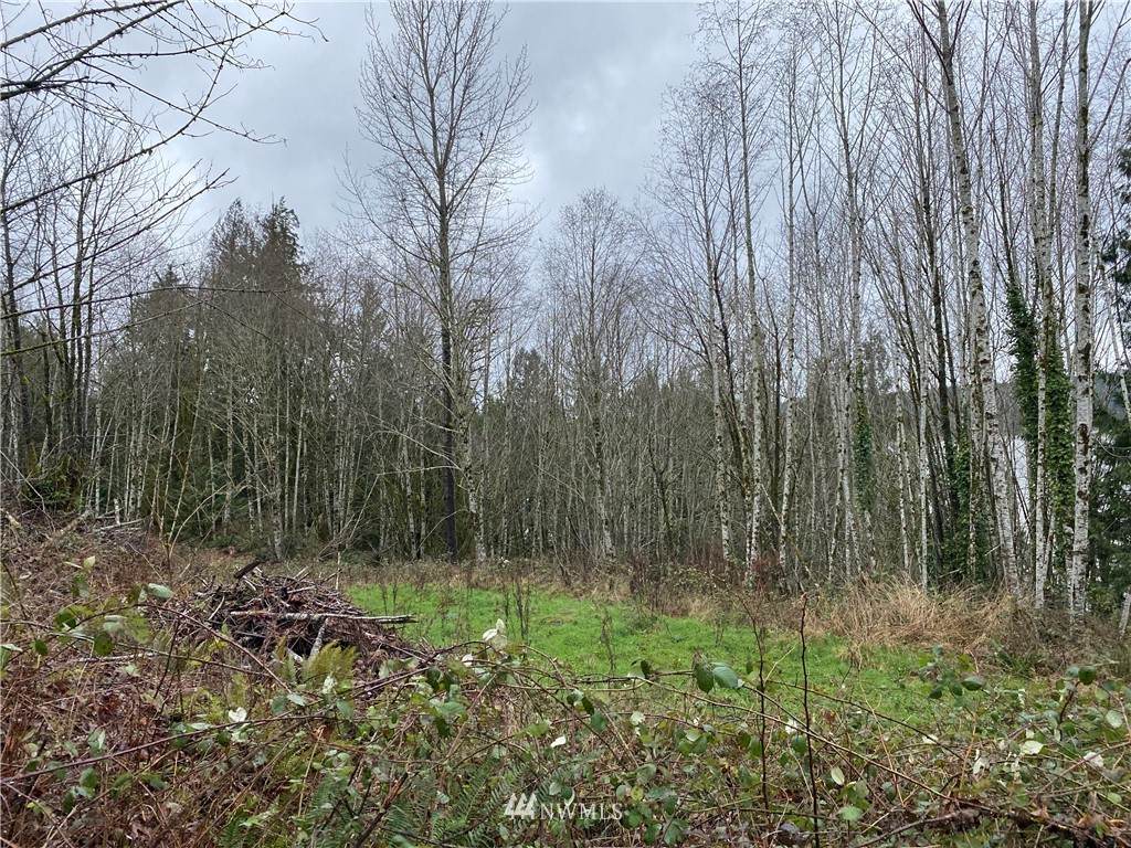 0 Cove View Drive - Photo 1