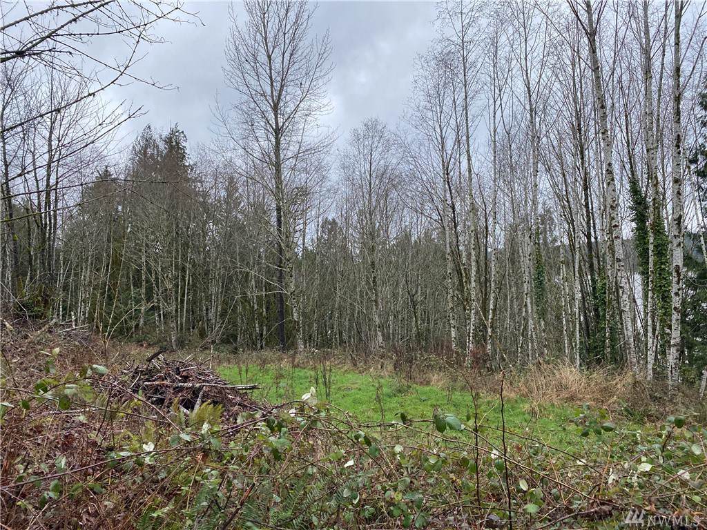 0 Cove View Dr - Photo 1