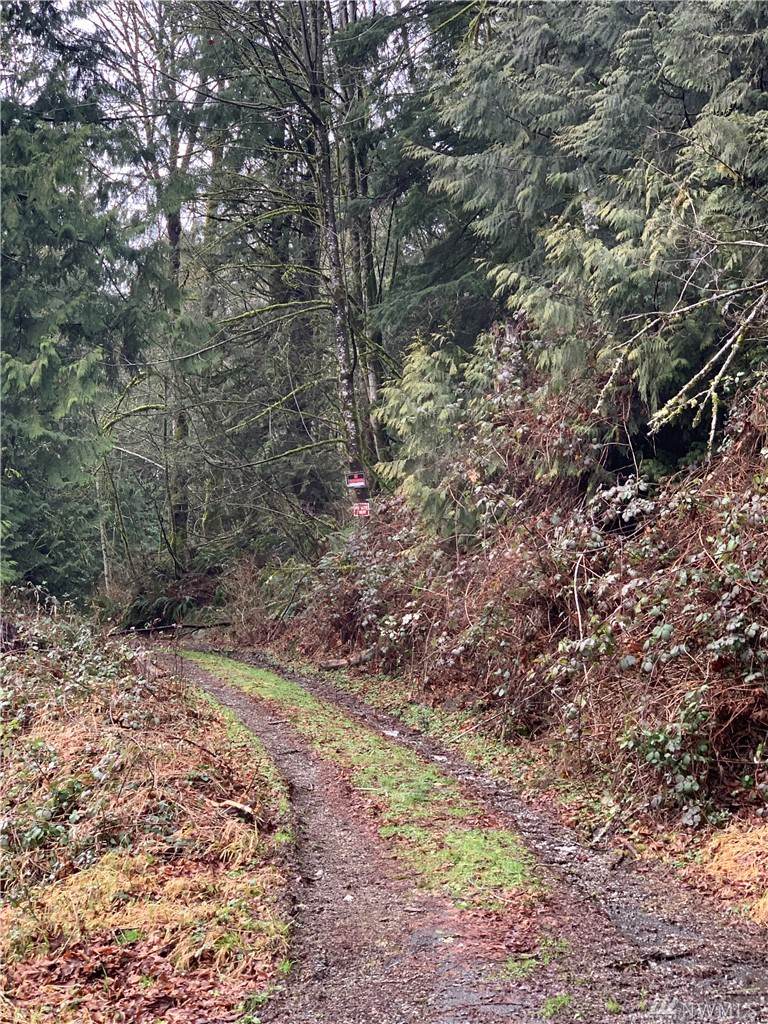 4800 Park Rd - Photo 1
