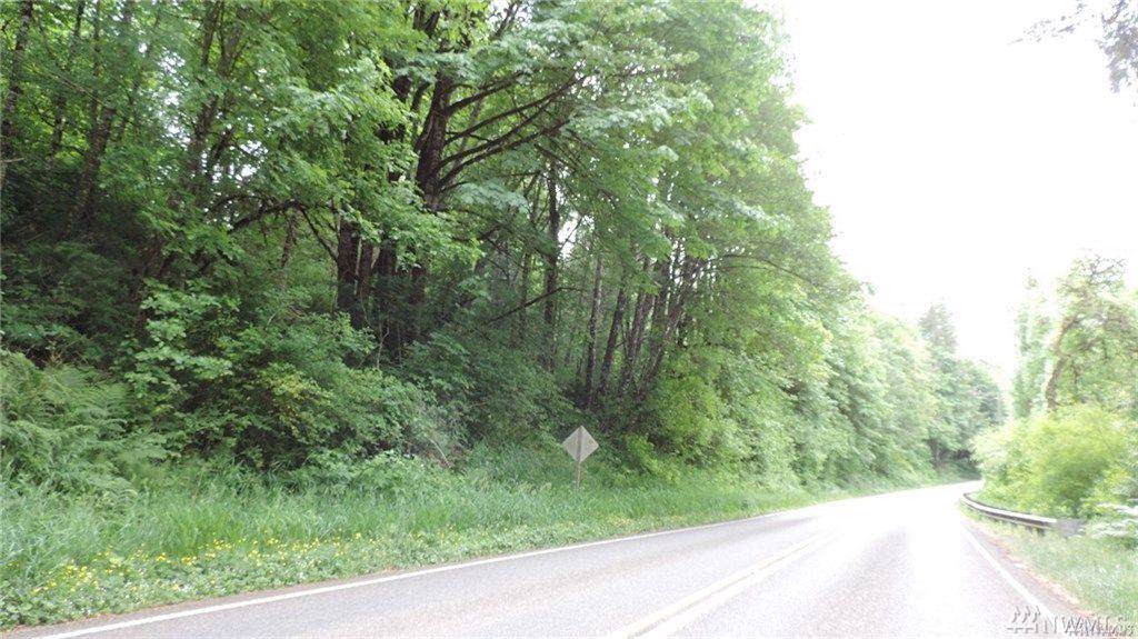 0 Littlerock Rd - Photo 1