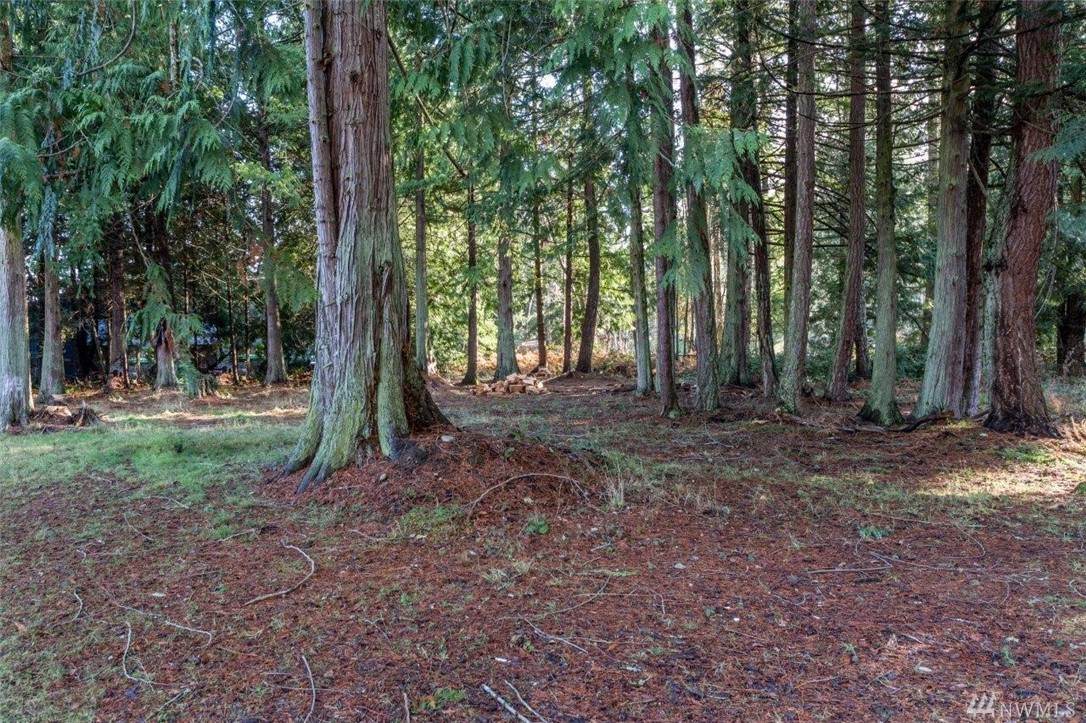 0-Lot X Pebble Lane - Photo 1