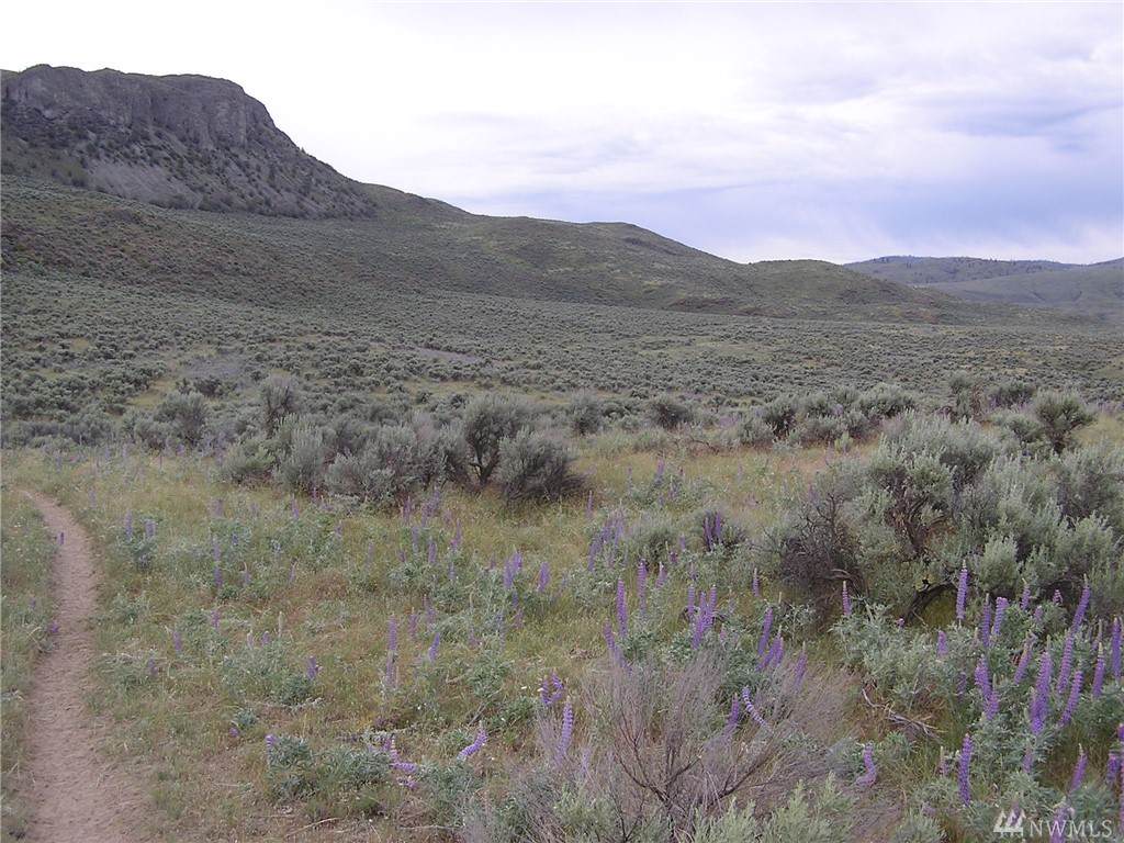 1111-TBD Highway 97 N - Photo 1