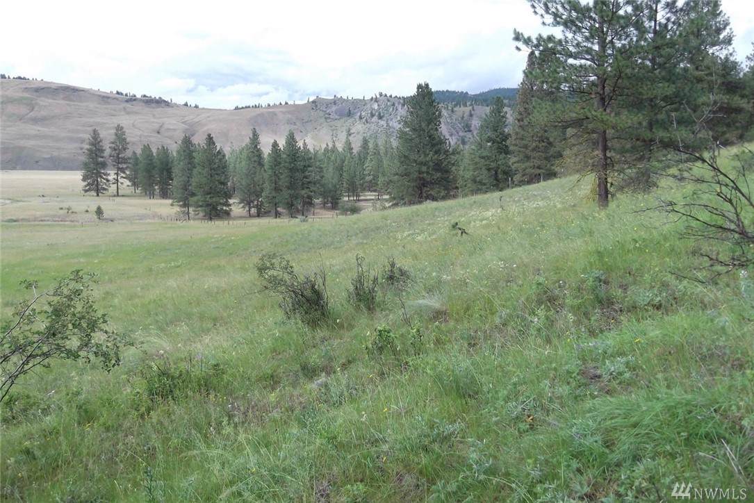 405 Sorona Wy - Photo 1