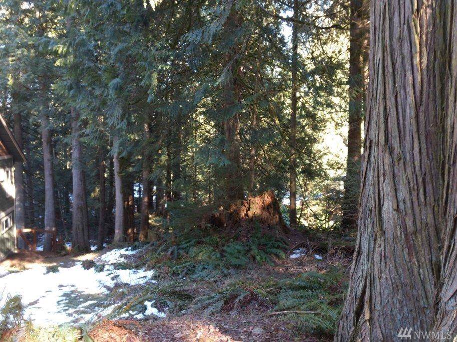 135 Sudden Valley Dr - Photo 1