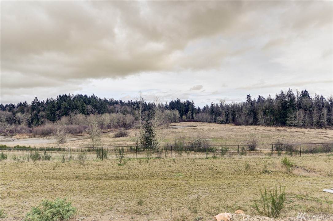 2439 79th Ave - Photo 1
