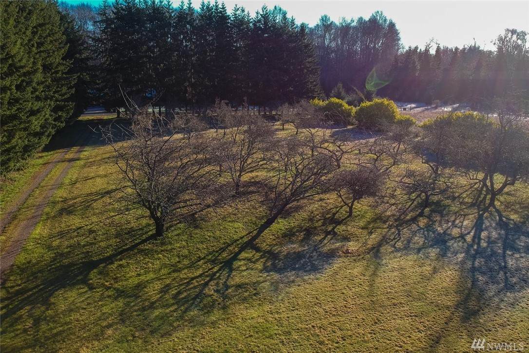 0 Lot 2 Grandview Dr - Photo 1