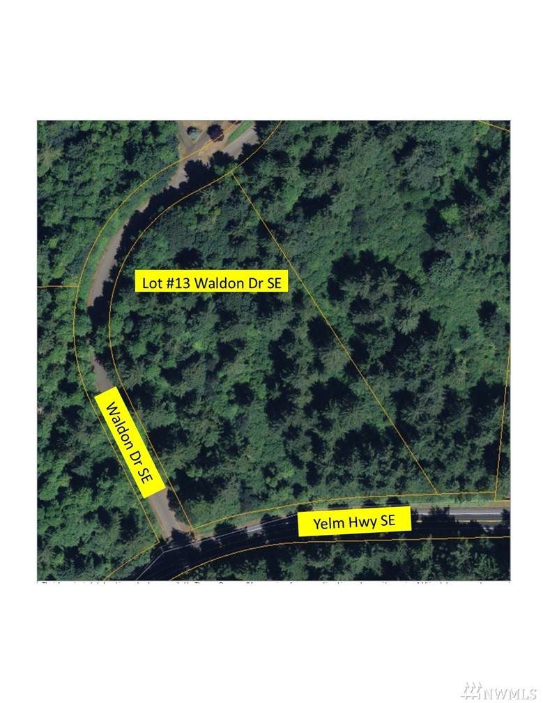 0 Lot 13 Waldon Dr - Photo 1