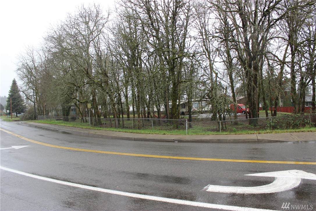 0 Lum Rd - Photo 1