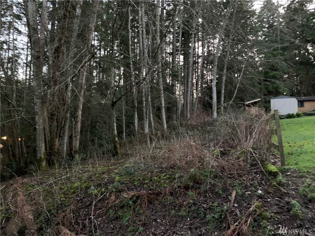 0 Walden Lp - Photo 1