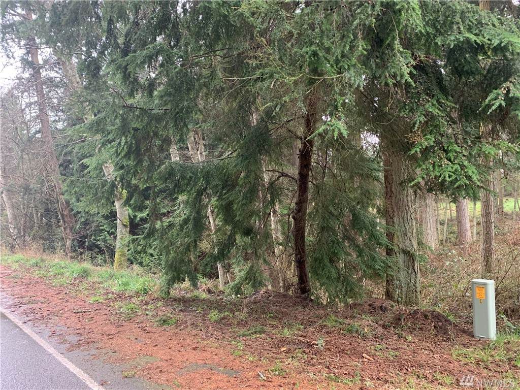 0 Fish Rd - Photo 1