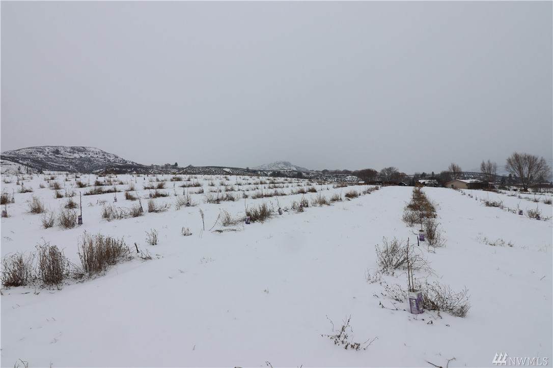 111 Tbd - Photo 1