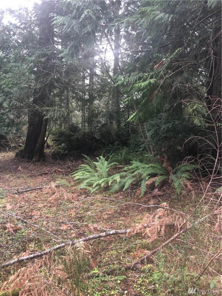 955 Sunset Hill Rd - Photo 1