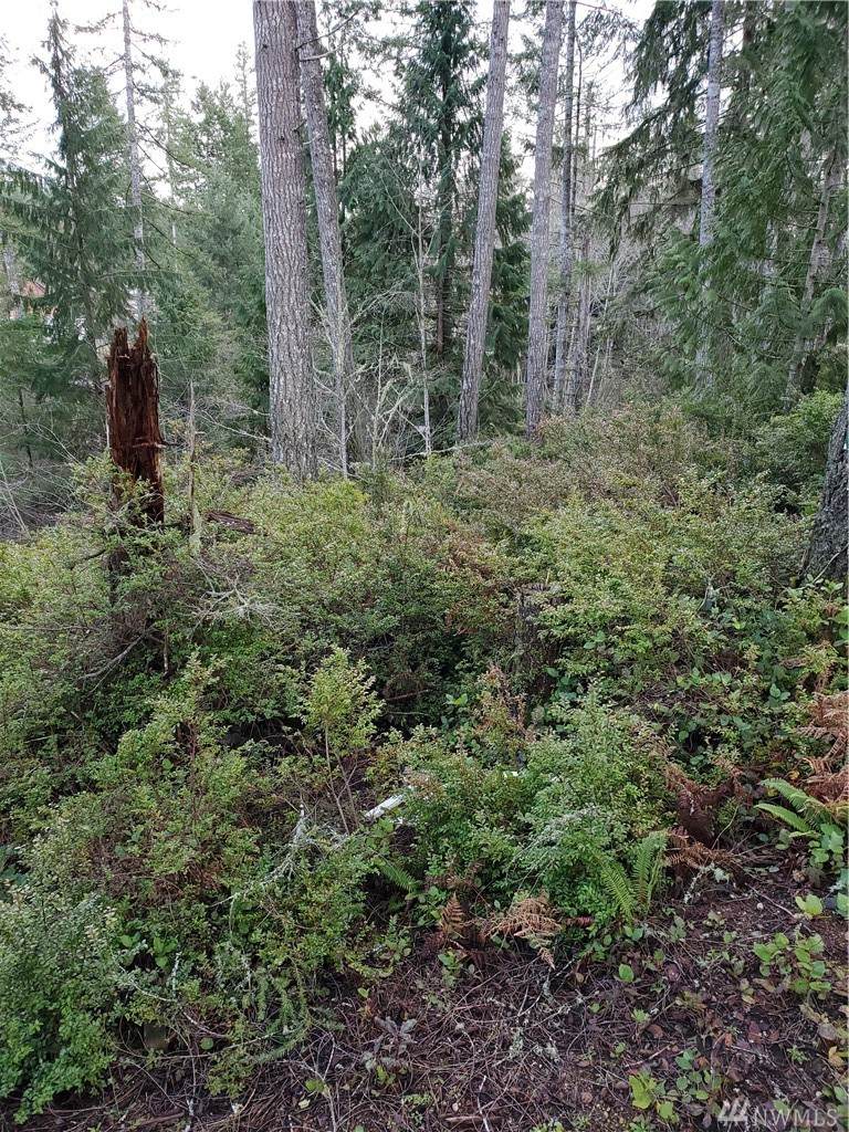 1521 Trails End Dr - Photo 1