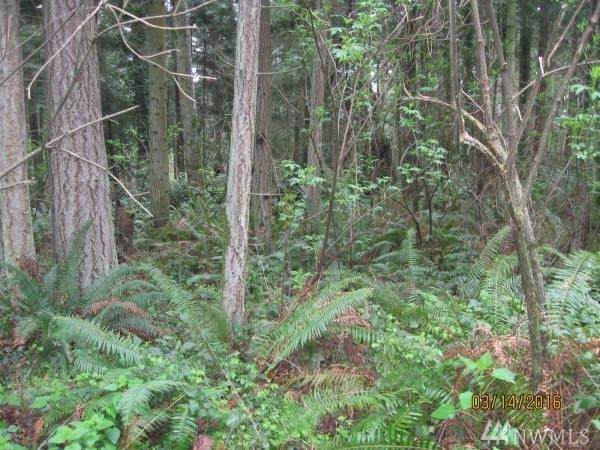 2443 South Camano Dr - Photo 1