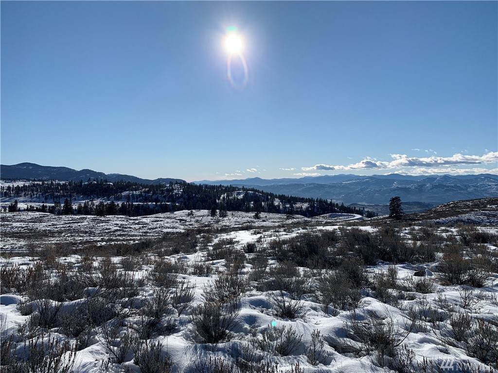 0 Tbd Blue Grouse Rd - Photo 1