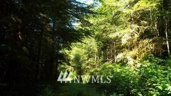 299 Cedar Ponds Road - Photo 1