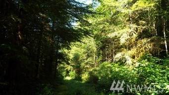 299-XX Cedar Ponds Rd - Photo 1