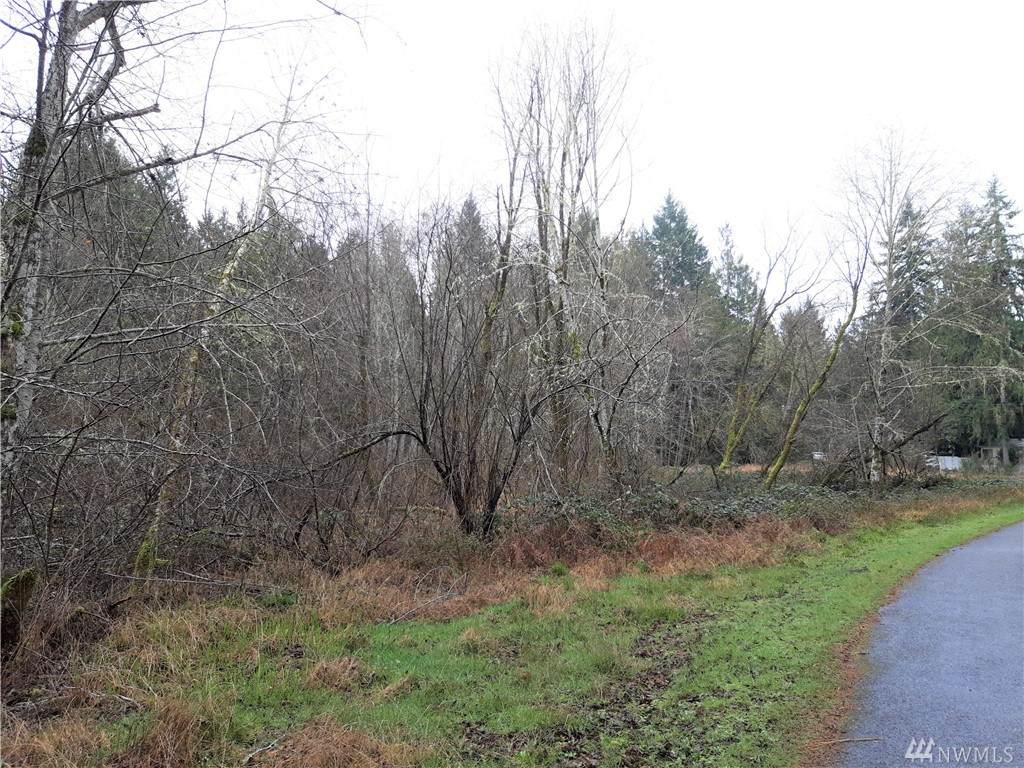 0 Timberlake Dr - Photo 1 0 Timberlake Dr - Photo 1