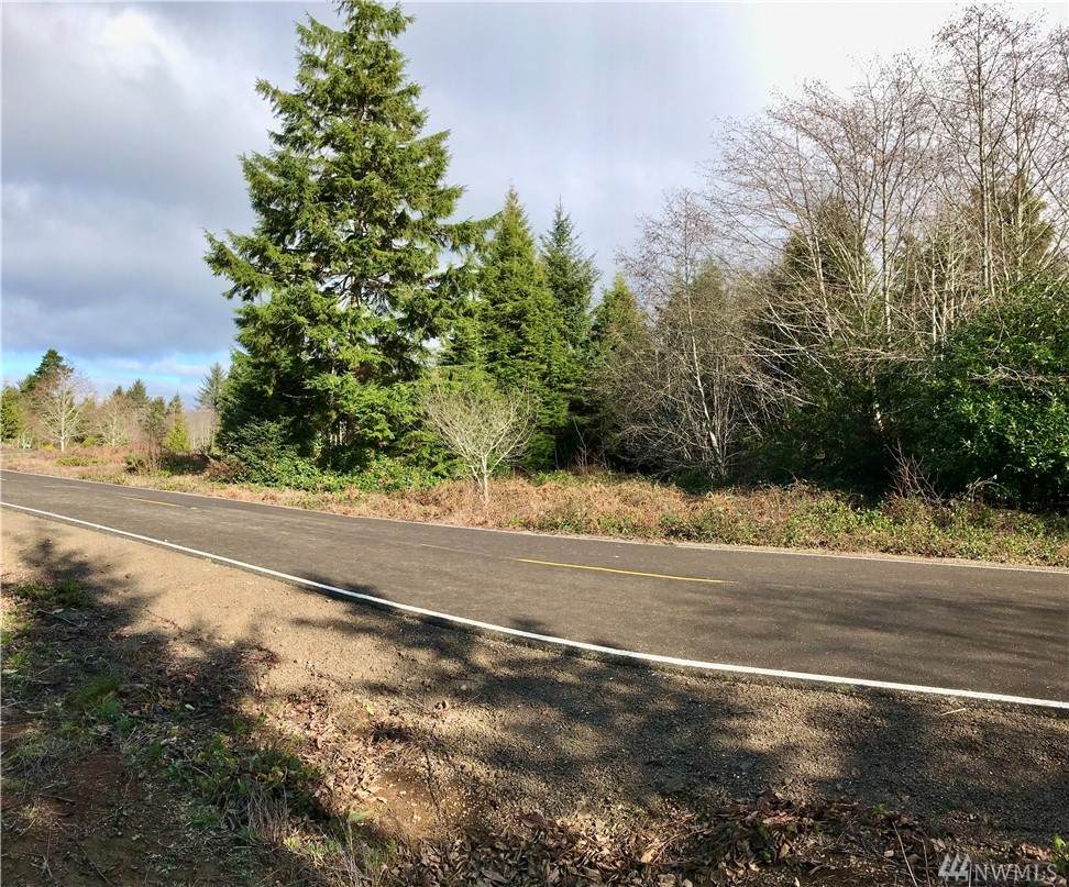 0 Ranta Rd - Photo 1