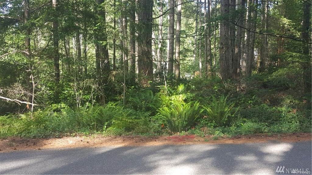 12864 Wye Lake Blvd - Photo 1