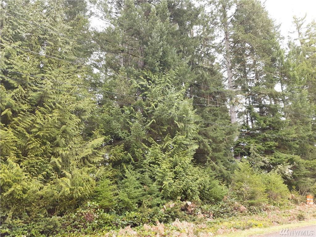 90 Tahuya Dr - Photo 1