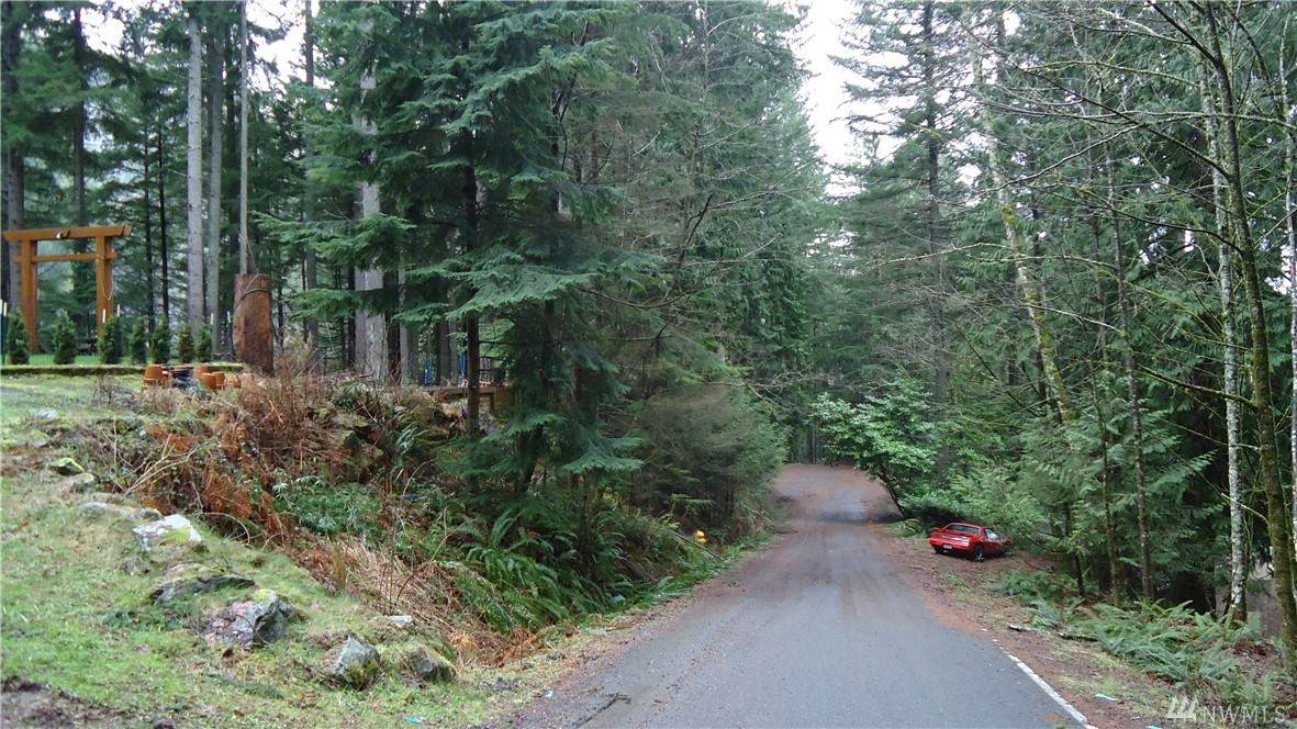 21 Clematis Lane - Photo 1