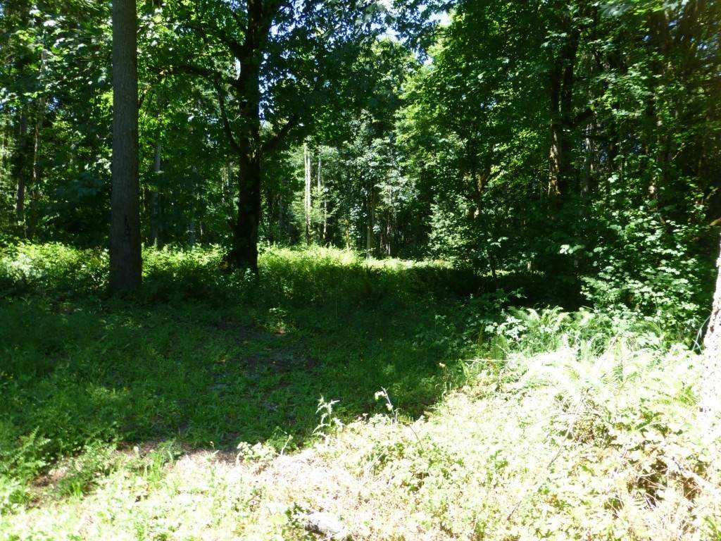 4735 Meridian Road - Photo 1