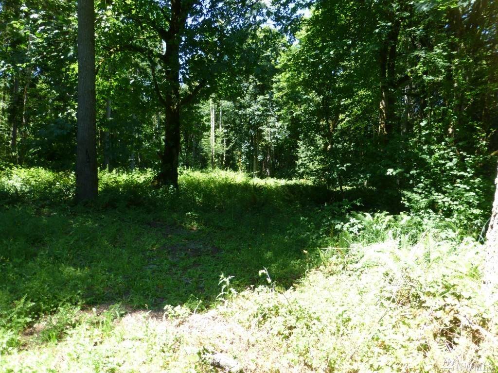 4735 Meridian Rd - Photo 1