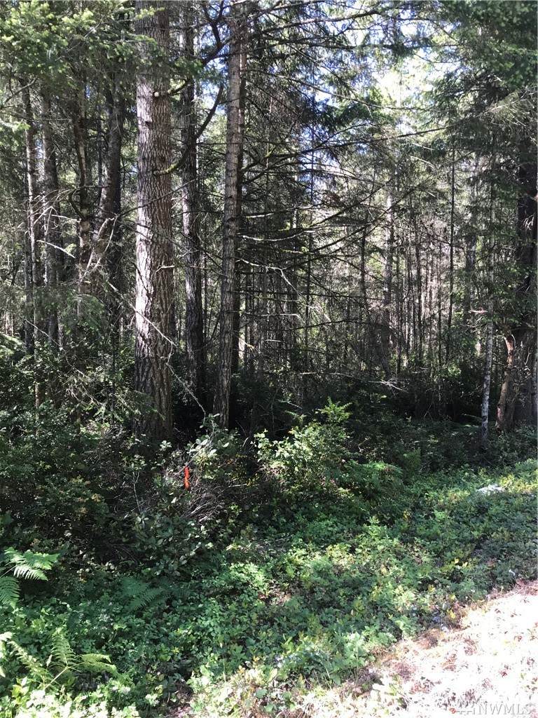 0 Phillips Lk Rd Rd - Photo 1