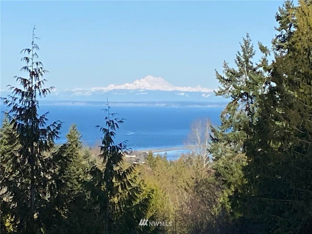 9999 Chelsamish Drive - Photo 1