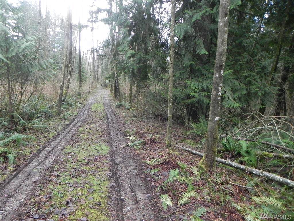 30-xx 368th Ave - Photo 1