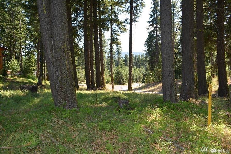 1081 Spragger Wy - Photo 1