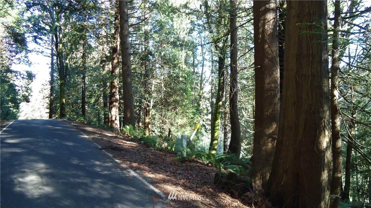 13 Deer Run Lane - Photo 1