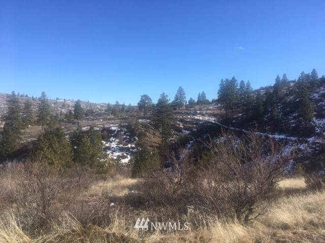 111 Hwy 97 - Photo 1