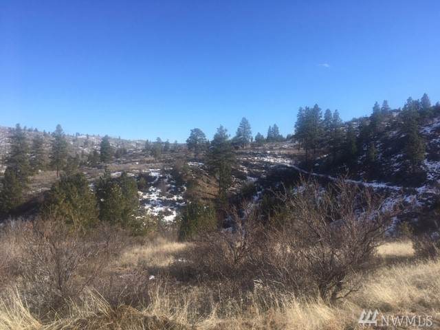 111 Hwy 97 - Photo 1 111 Hwy 97 - Photo 1