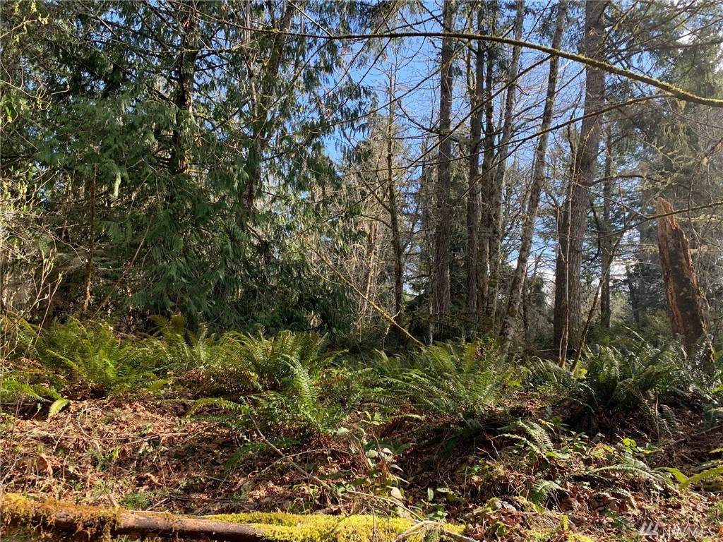 0-xxx Harstine Island Rd - Photo 1