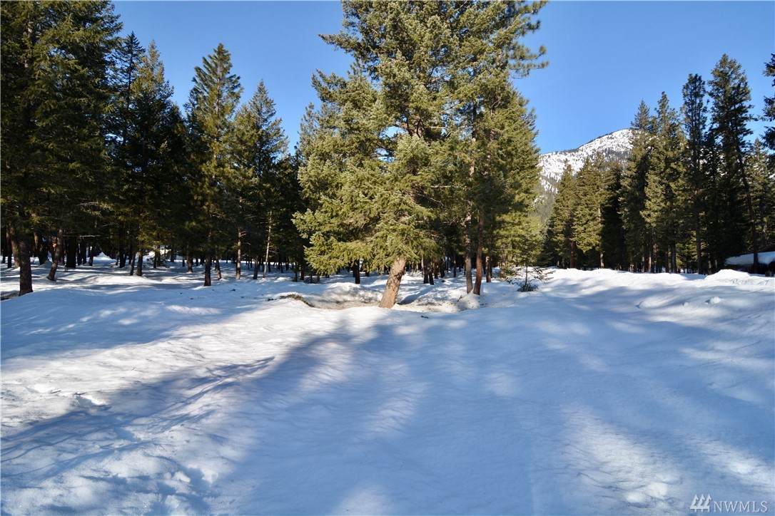60-Lot Littel Rd - Photo 1