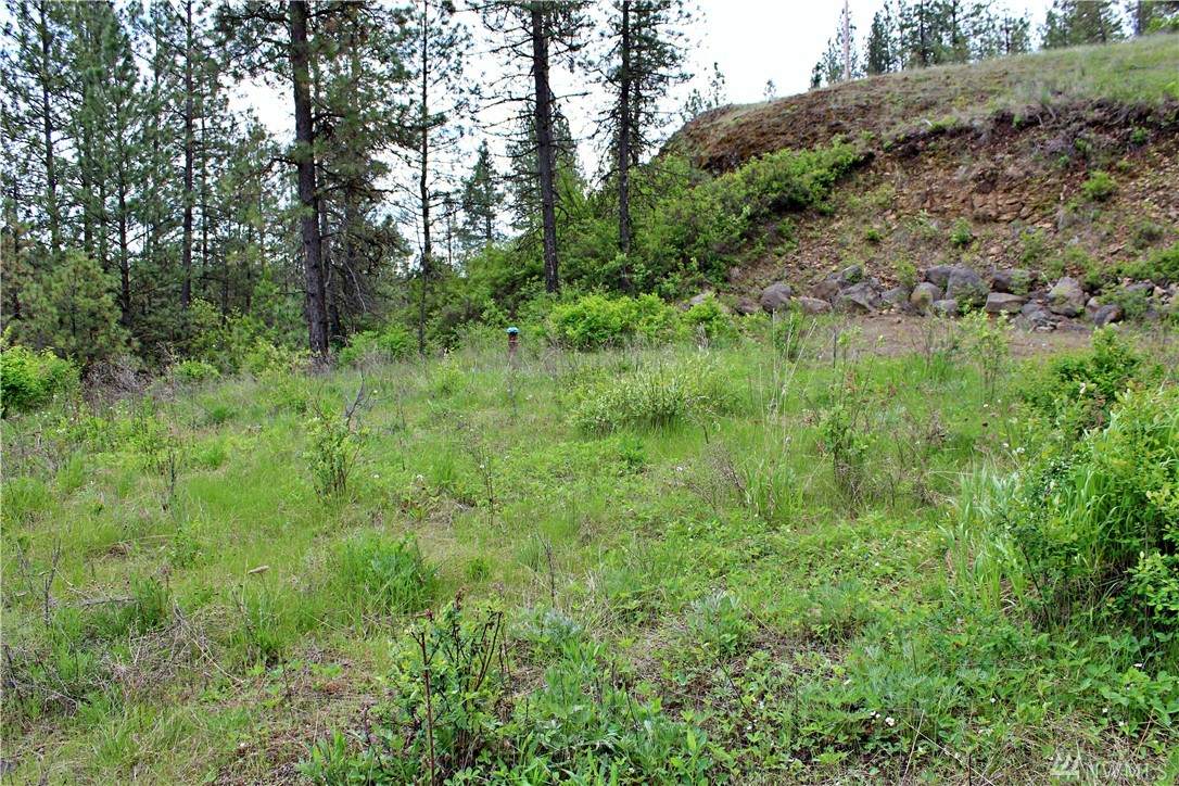 10413 Brooks Rd - Photo 1