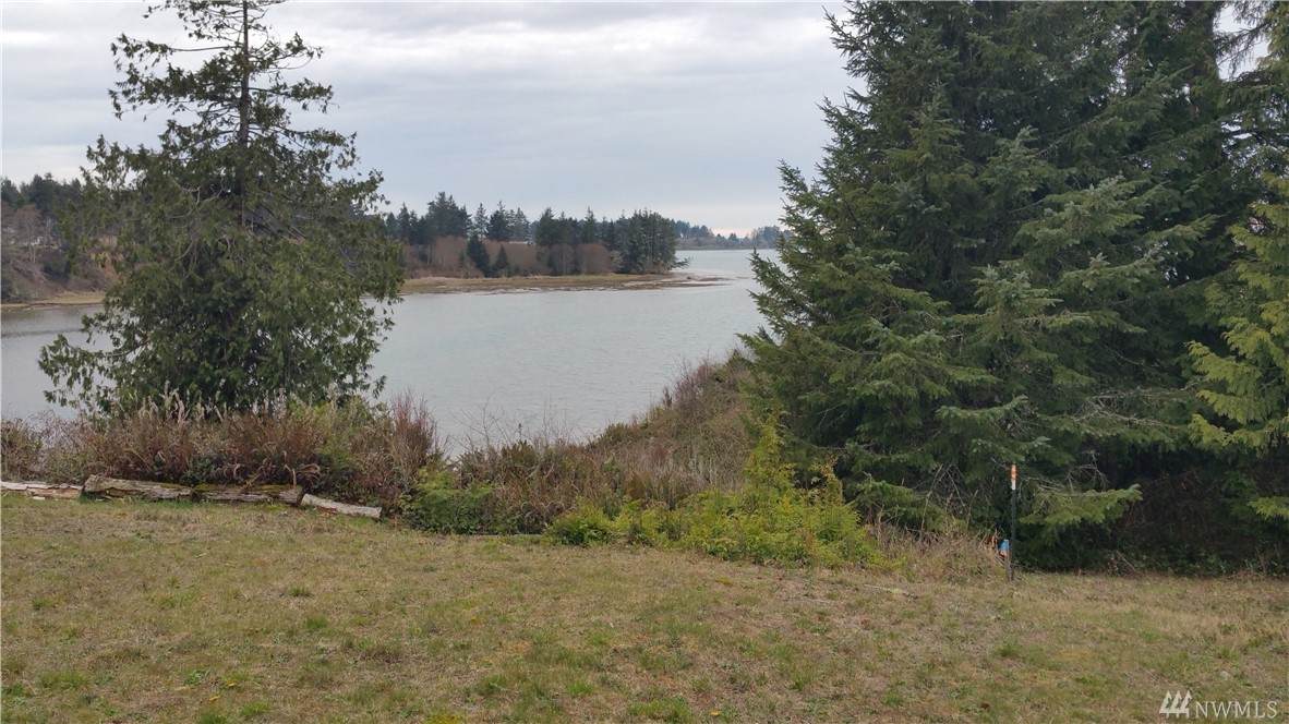 0 Cedar Lane - Photo 1
