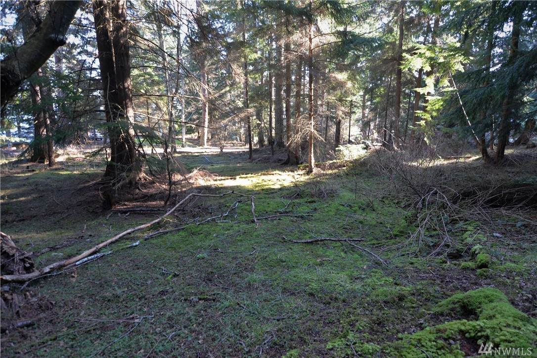 2516 Raccoon Point Road - Photo 1