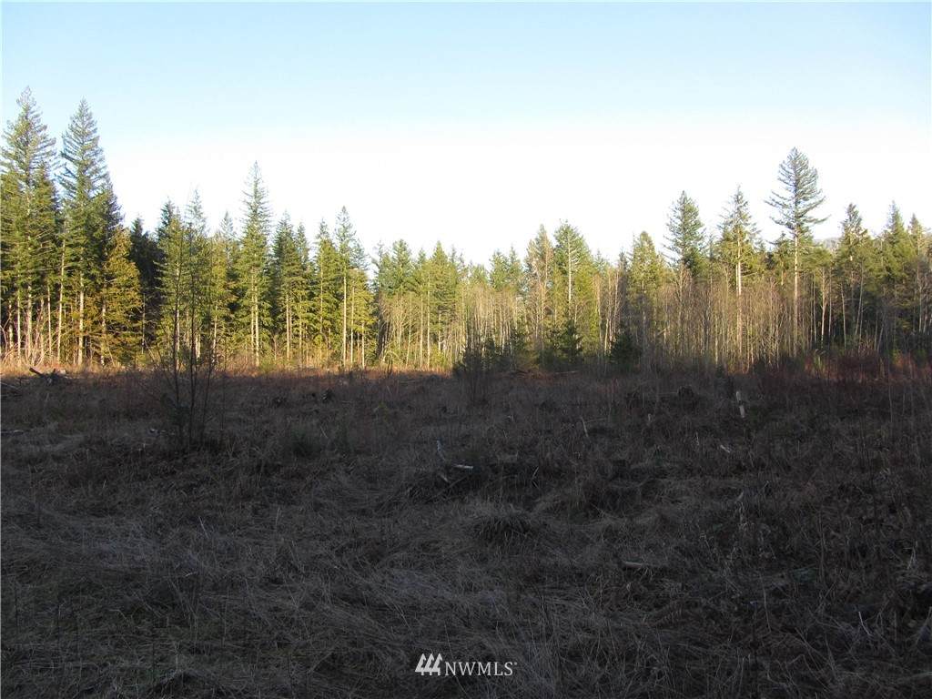 6464 South Pass Road - Photo 1