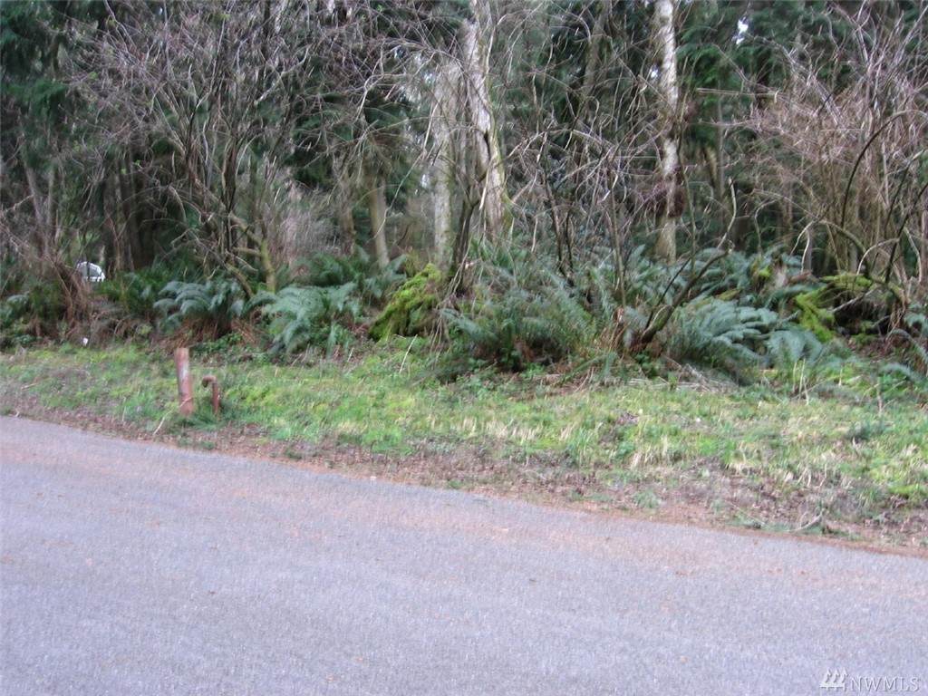 0-XXX Alder Ave - Photo 1