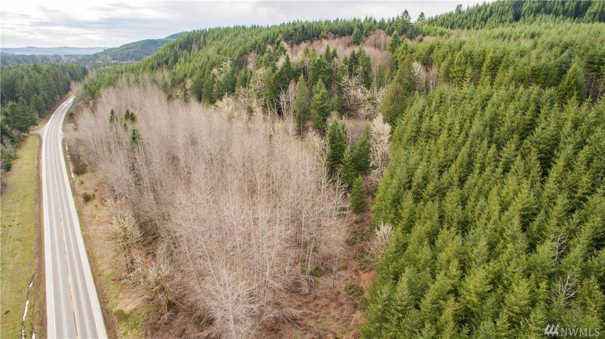 0 Sr 504 Hwy - Photo 1