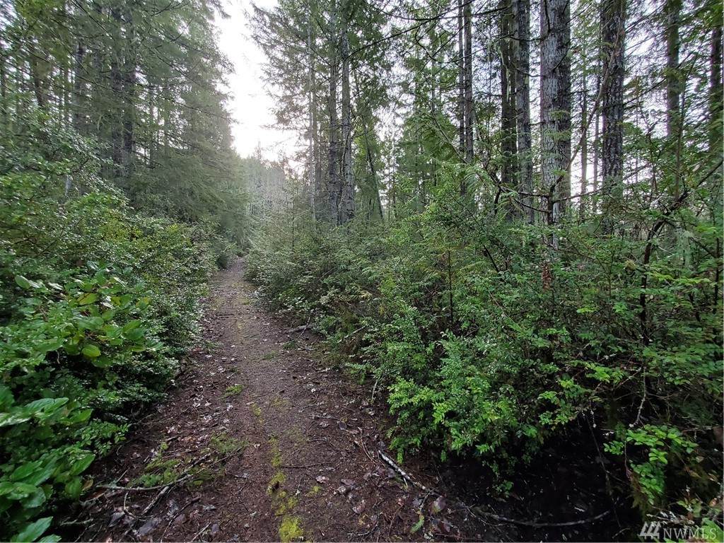 0 Jenn's Wy - Photo 1