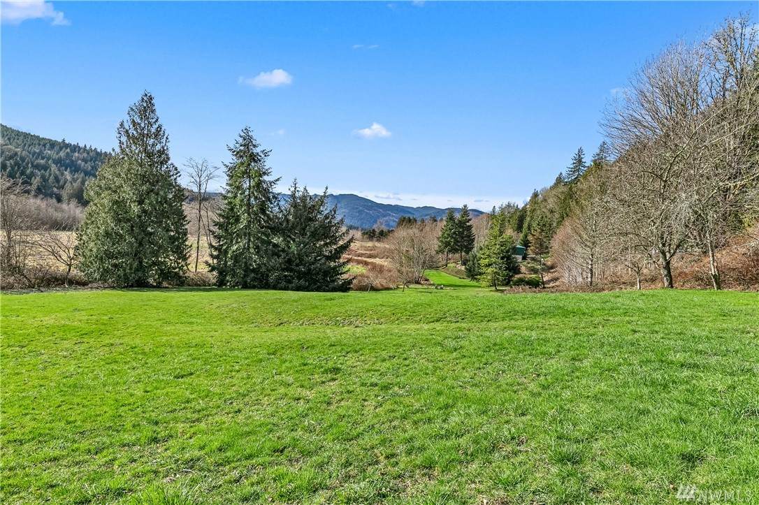 4415 Park Rd - Photo 1