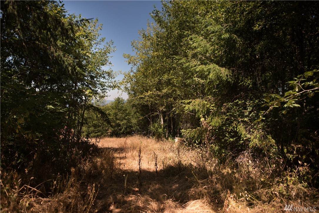 417 Ravenwood - Photo 1